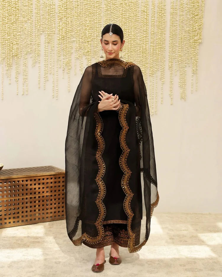 Black Mystique Full Sleeve's Stitched 🪡 Dress